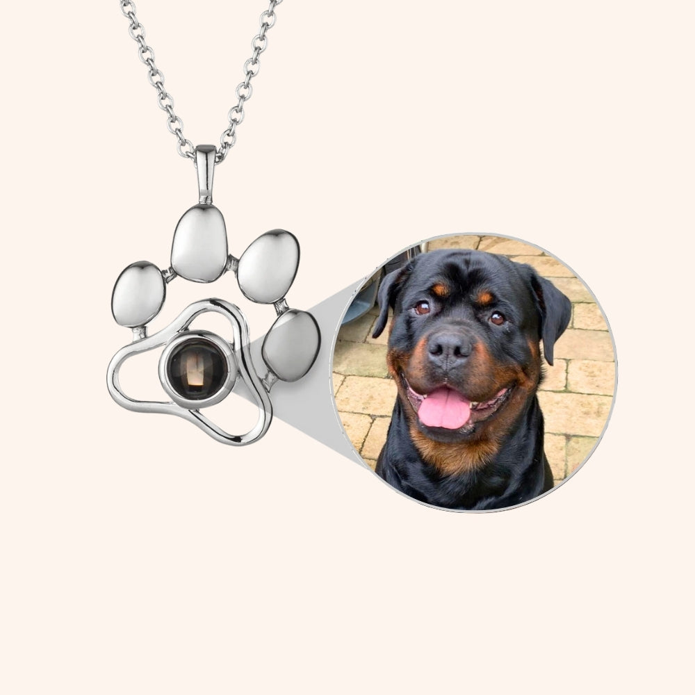 Gepersonaliseerde Huisdier Foto Ketting | 30% OFF!